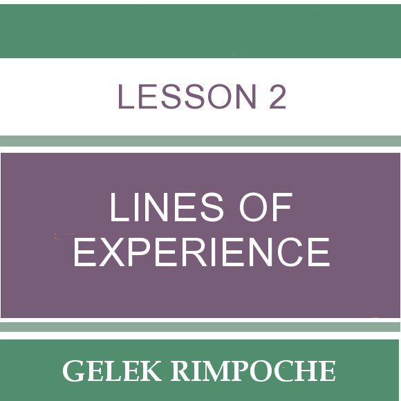 Lesson 2: Lines of Experience