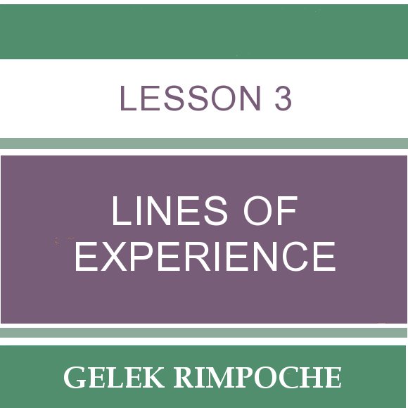 Lesson 3: Lines of Experience: