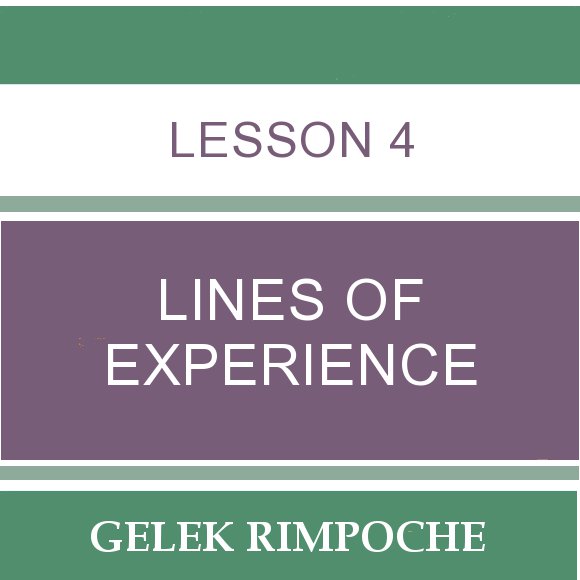 Lesson 4: Lines of Experience