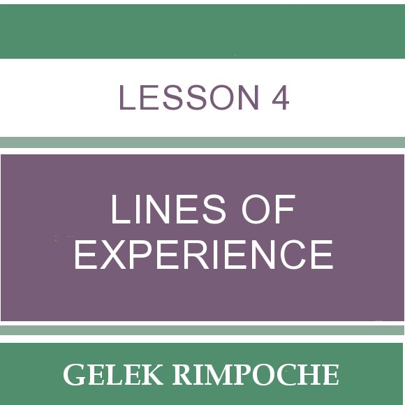 Lesson 4: Lines of Experience