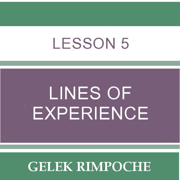Lesson 5: Lines of Experience
