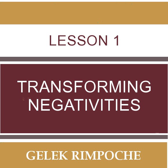 Lesson 1: Transforming Negativities