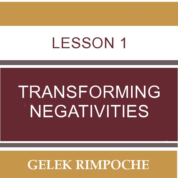 Lesson 1: Transforming Negativities