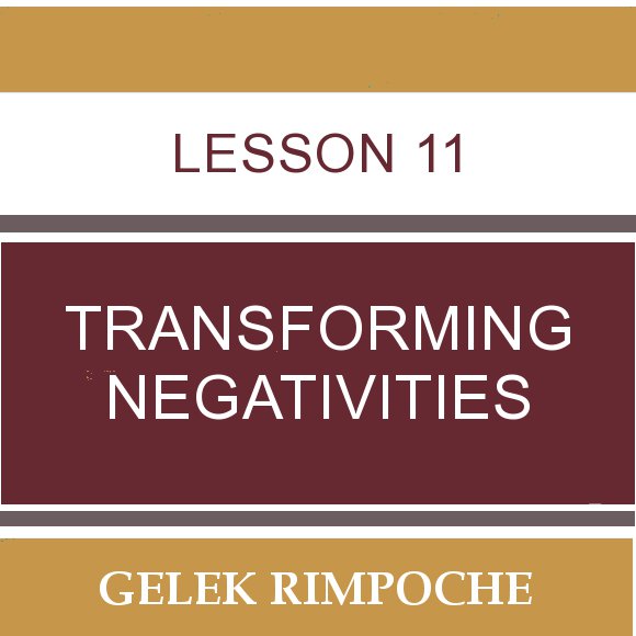 Lesson 11: Transforming Negativities