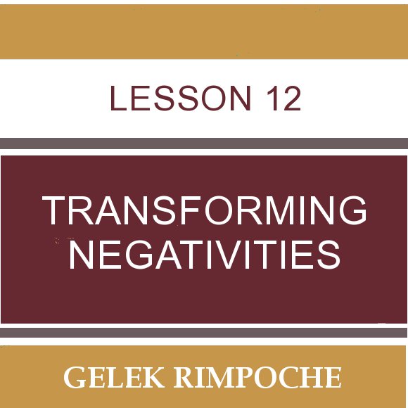 Lesson 12: Transforming Negativities