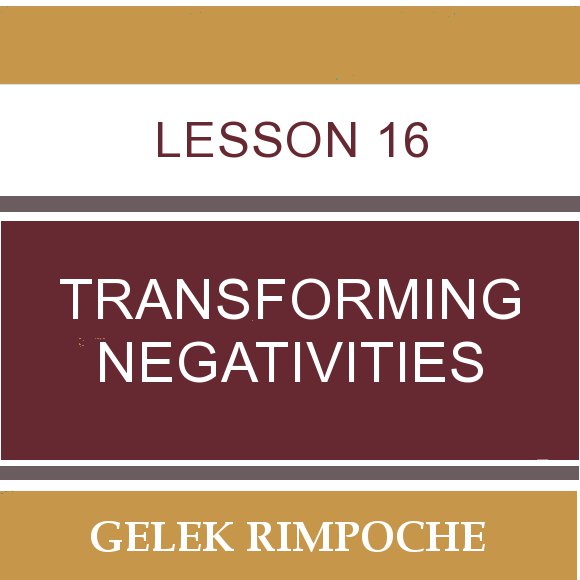 Lesson 16: Transforming Negativities