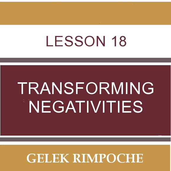 Lesson 18: Transforming Negativities