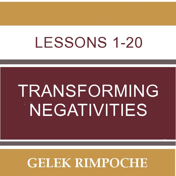 Transforming Negativities