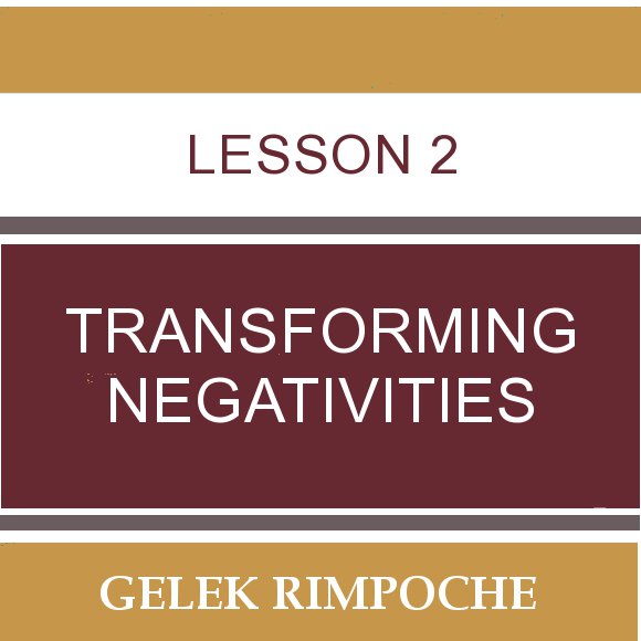 Lesson 2: Transforming Negativities