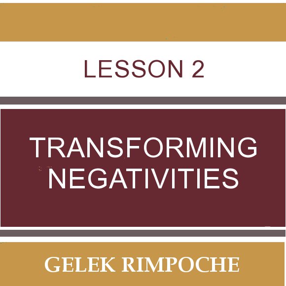 Lesson 2: Transforming Negativities