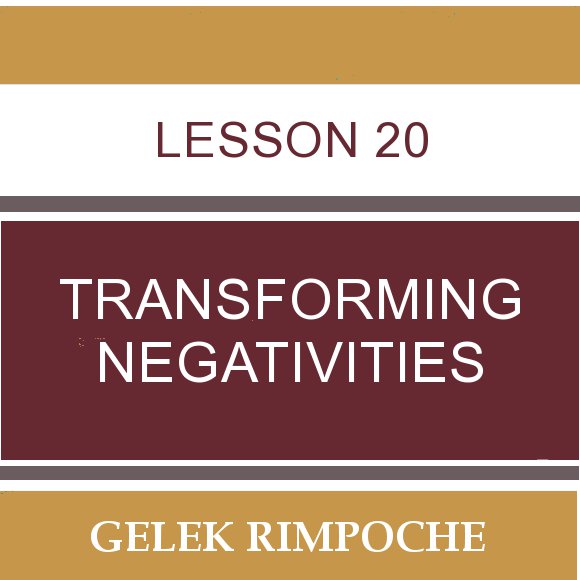 Lesson 20: Transforming Negativities