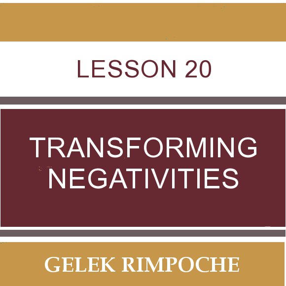 Lesson 20: Transforming Negativities