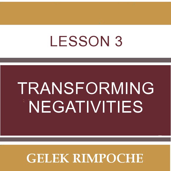 Lesson 3: Transforming Negativities