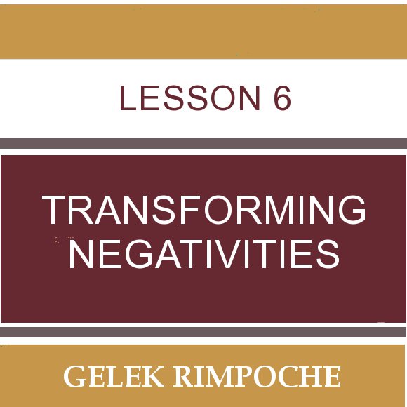 Lesson 6: Transforming Negativities