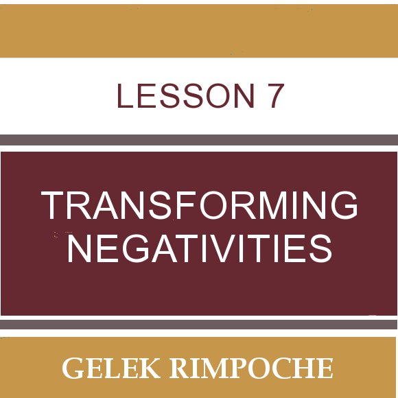 Lesson 7: Transforming Negativities