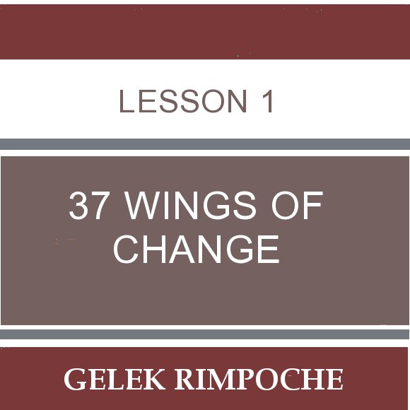 Lesson 1: 37 Wings of Change