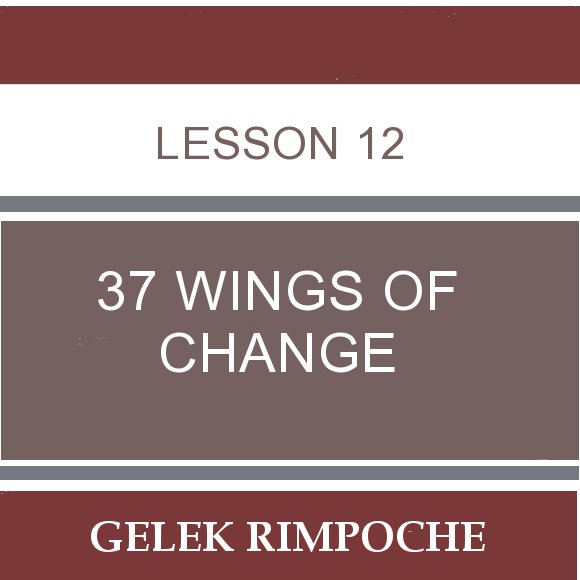 Lesson 12: 37 Wings of Change