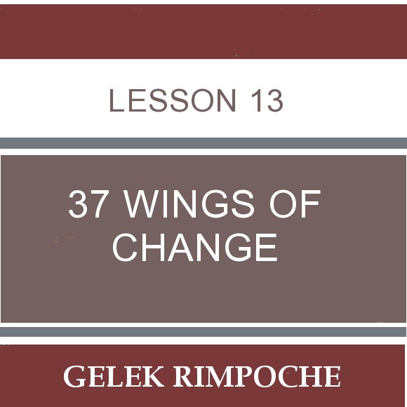 Lesson 13: 37 Wings of Change