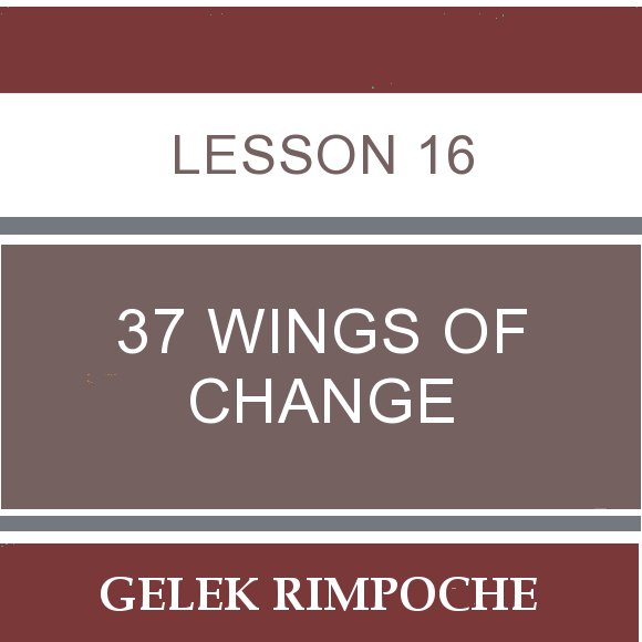 Lesson 16: 37 Wings of Change