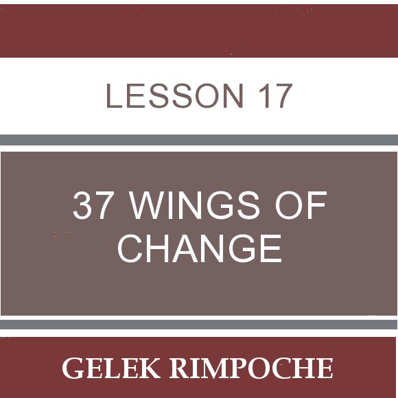 Lesson 17: 37 Wings of Change