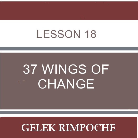 Lesson 18: 37 Wings of Change