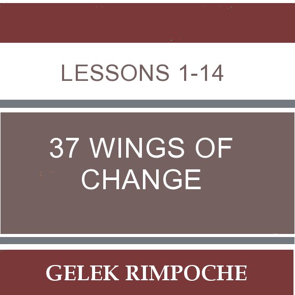 37 Wings of Change: Lessons 1-14