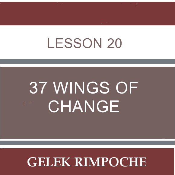 Lesson 20: 37 Wings of Change