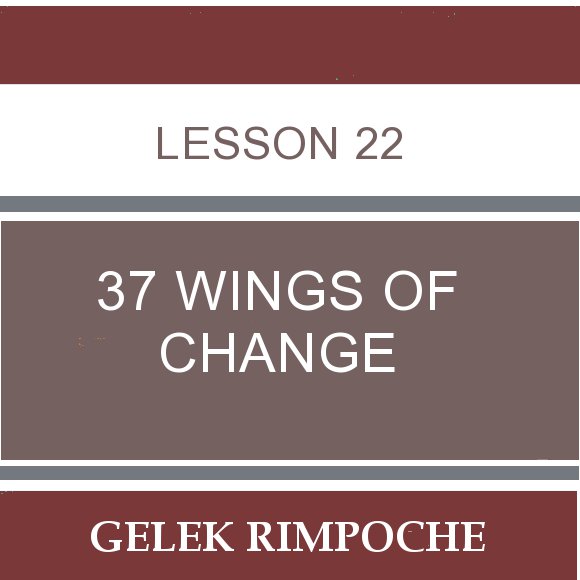 Lesson 22: 37 Wings of Change