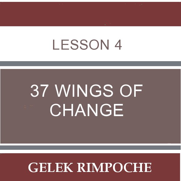 Lesson 4: 37 Wings of Change