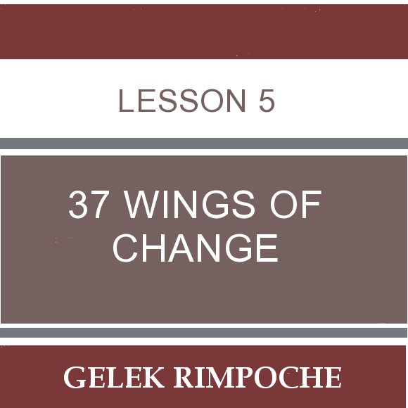 Lesson 5: 37 Wings of Change