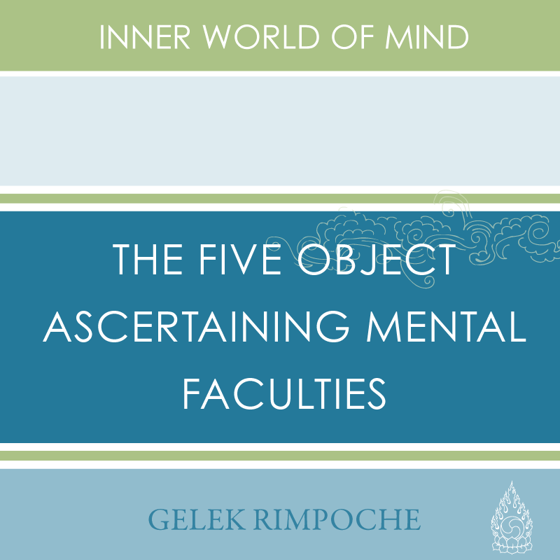The Five Object Ascertaining Mental Faculties