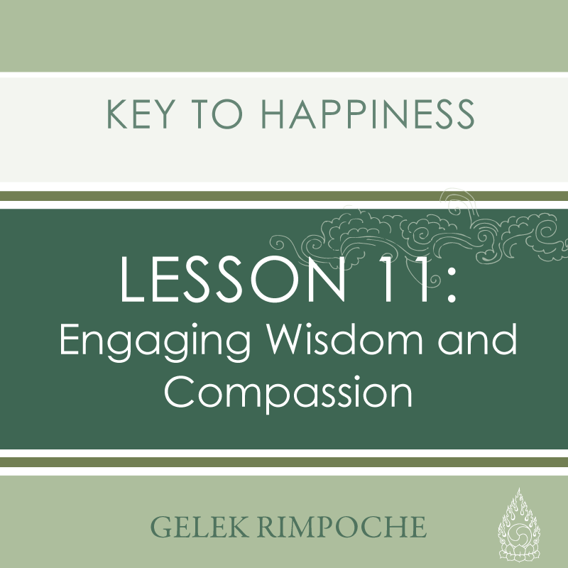 Engaging Wisdom and Compassion