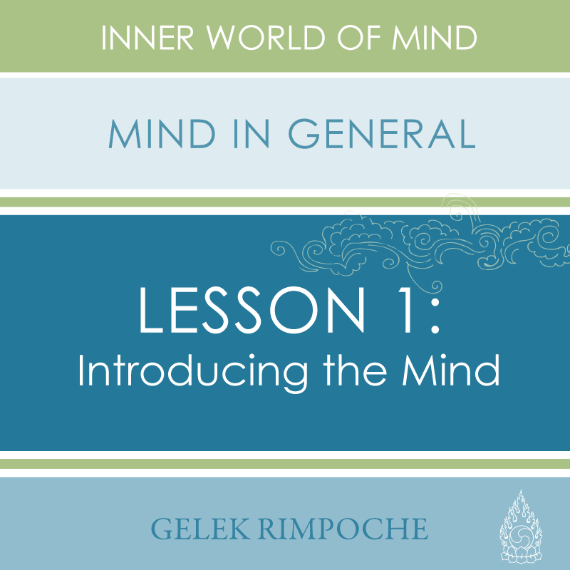 Introducing Mind