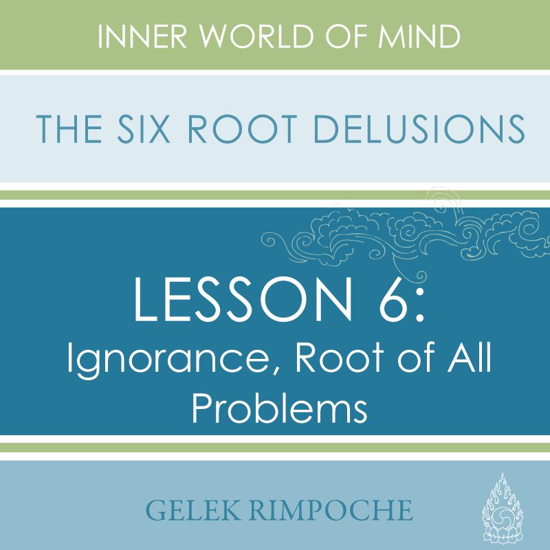 Ignorance, Root of All Problems