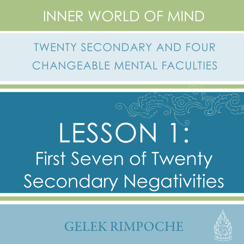 First Seven of Twenty Secondary Negativities