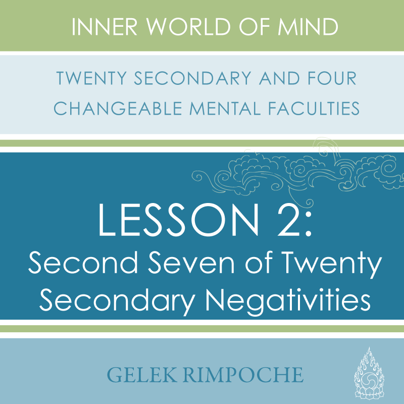 Second Seven of Twenty Secondary Negativities