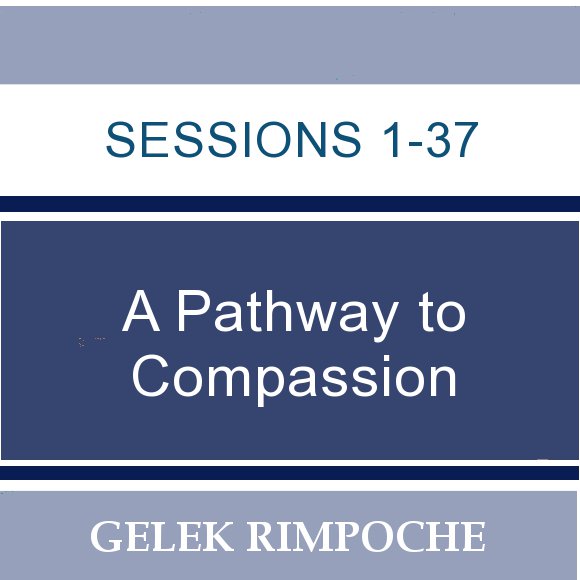 A Pathway to Compassion