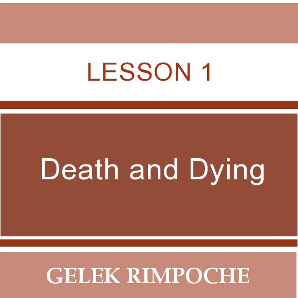 Lesson 1: Death and Dying