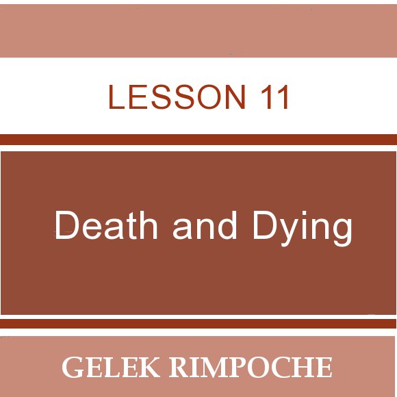 Lesson 11: Death and Dying