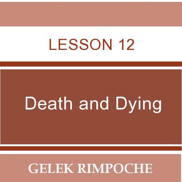 Lesson 12: Death and Dying