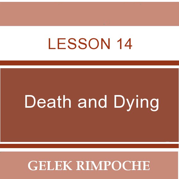 Lesson 14: Death and Dying