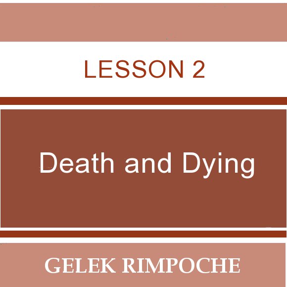 Lesson 2: Death and Dying