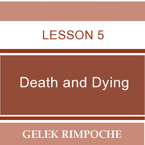 Lesson 5: Death and Dying