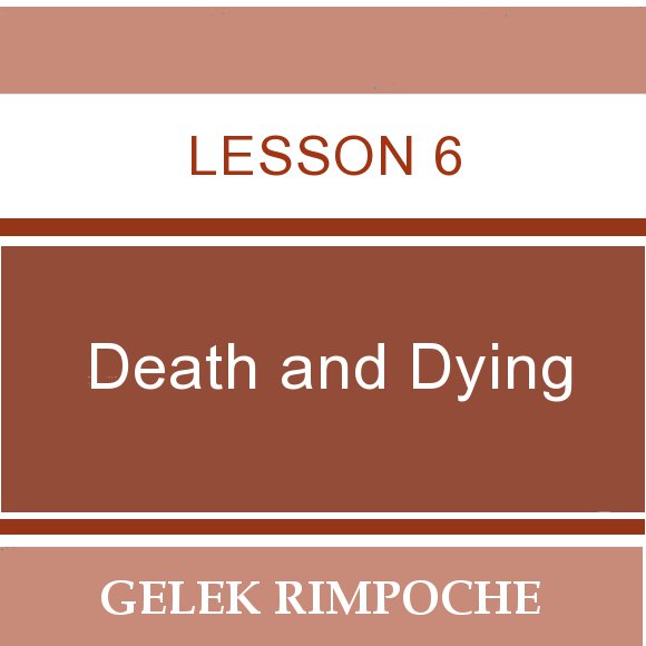 Lesson 6: Death and Dying