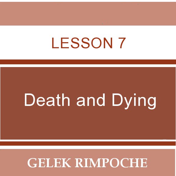 Lesson 7: Death and Dying