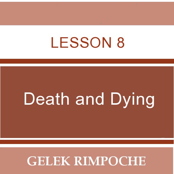 Lesson 8: Death and Dying
