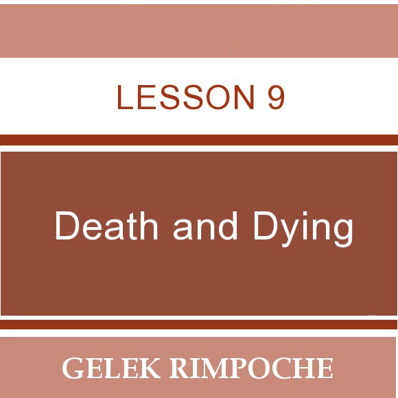Lesson 9: Death and Dying