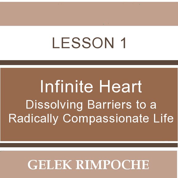 Infinite Heart: Lesson 1