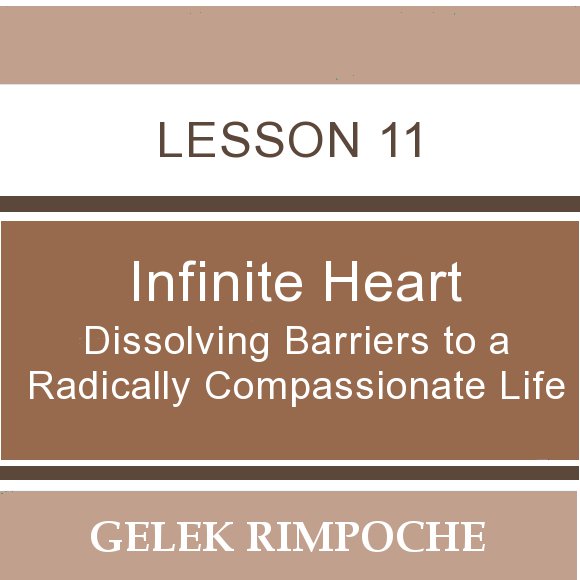 Infinite Heart: Lesson 11