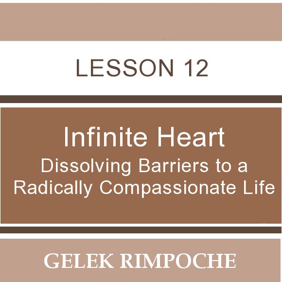 Infinite Heart: Lesson 12